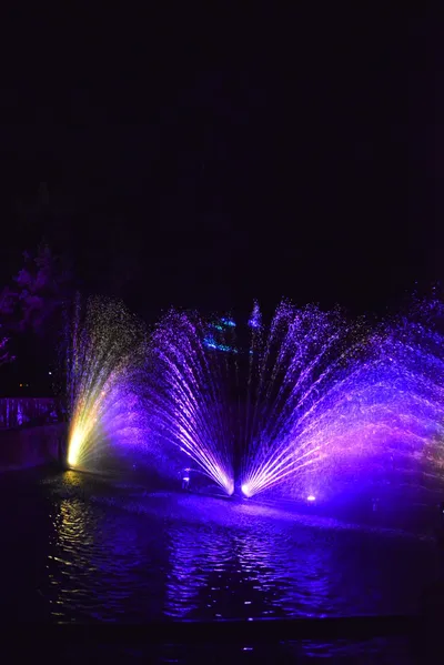 DSC_7068 (Large).JPG